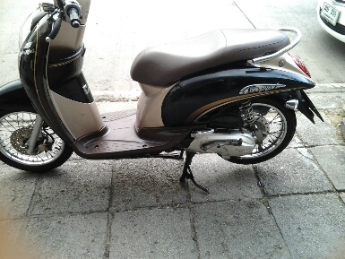 สกุบปี้iปี2553 สกุบปี้iปี2553