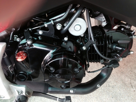 ขายHONDA MSX125  ปี2014