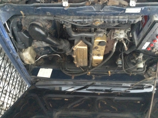 ขายอีซุมังกรหัวเดียว