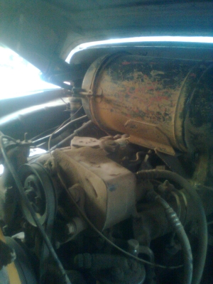 ดั้มหัวยาว  แรงๆ ลุยๆ