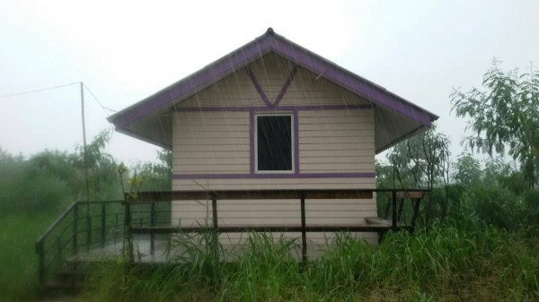 gen.270 kw. ราคา 270000.-