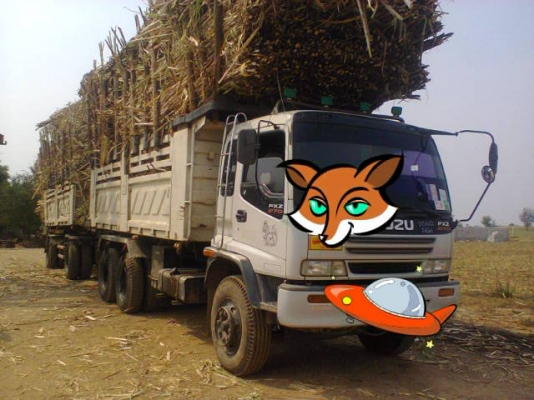 ขายอีซูซุยูโรวัน 270 ปลายปี45 พ่วง ดั๊ม ราคา 2,450,000 บาท ราคาต่อรองได้