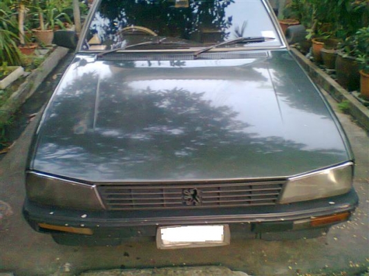 ขายเปอร์โย 505