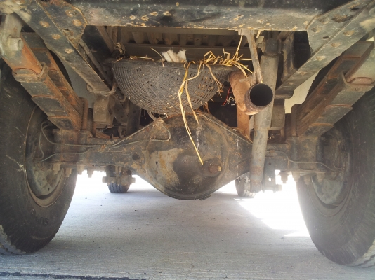 NKR55EY52กระบะสแตนเลสสวยๆเดิมๆพร้อมใช้เอกสารพร้อมโอน