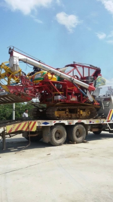 ขายเจ้าช้างไวไฟ  ปี53