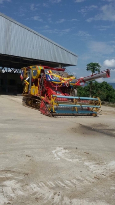 ขายเจ้าช้างไวไฟ  ปี53