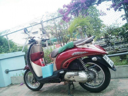 honda scoopy 110i สีแดงน้ำตาล ปี53 เครื่องดี 18,000