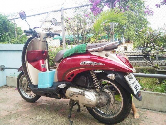 honda scoopy 110i สีแดงน้ำตาล ปี53 เครื่องดี 18,000