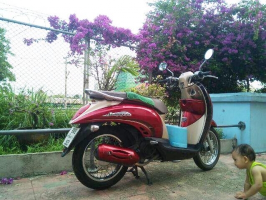 honda scoopy 110i สีแดงน้ำตาล ปี53 เครื่องดี 18,000