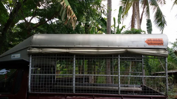 ขายหลังคา ตอนเดียว  L200