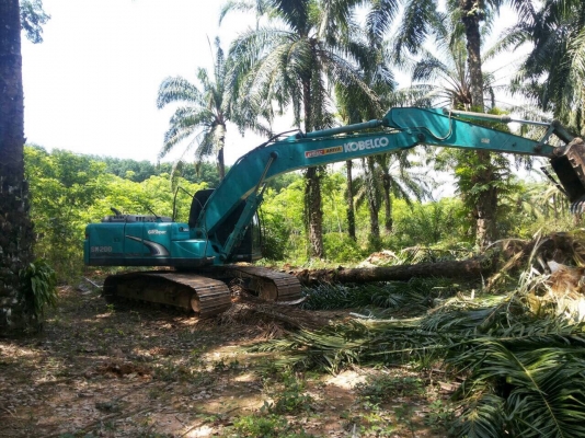 ขายแบคโฮ KOBELCO SK200-8 YN12-T3XXX 9,673 ชั่วโมง สนใจโทร 081-970-1072 ขายแบคโฮ KOBELCO SK200-8 YN12-T3XXX 9,673 ชั่วโมง สนใจโทร 081-970-1072