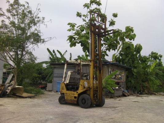 รถโฟคลิฟ TCM เบนซิน 1.5 ตัน ขายตามสภาพ เก่านอก เครื่องดีปั๊มแรง ราคา 75,000บาท มีvdoการใช่งาน