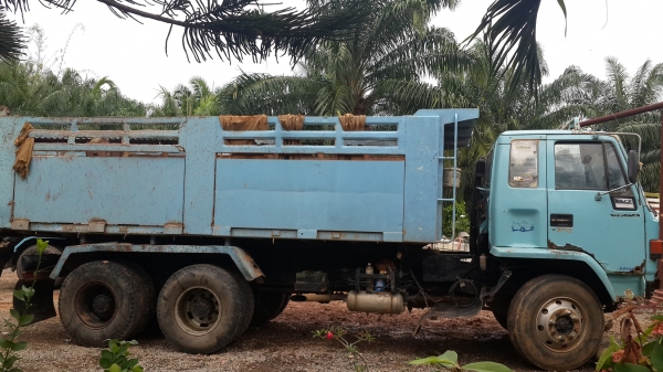 ขายถูกร๊อกกี้ 195 แท้ๆ ขายถูกร๊อกกี้ 195 แท้ๆ