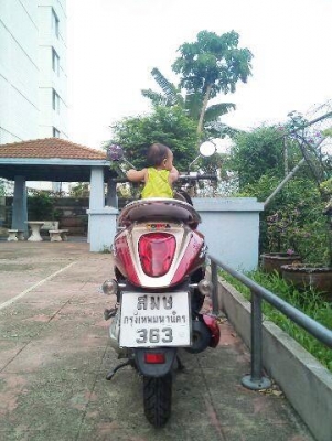 honda scoopy 110i ปี54 รถแม่บ้าน  เครื่องดีมาก 18,500