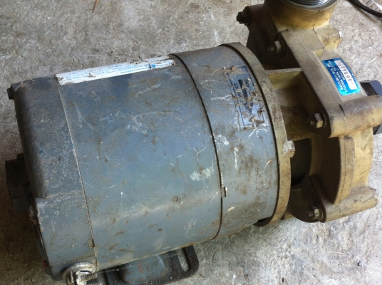 ปั๊มเอนกประสงค์ ตัวเรือนเป็นพลาสติกอย่างดี Century Electric ของ อเมริกา ขนาดท่อส่งและดูด 2 นิ้ว ใข้ได้ตั้งแต่  200 - 460 V.