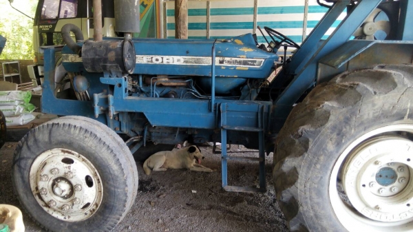 ขายรถไถคีบอ้อย FORD 6610 พร้อมคีบหน้า