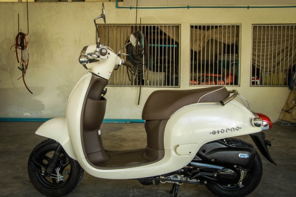 ///Honda Giorno/// ปี2013 สีขาวมุข