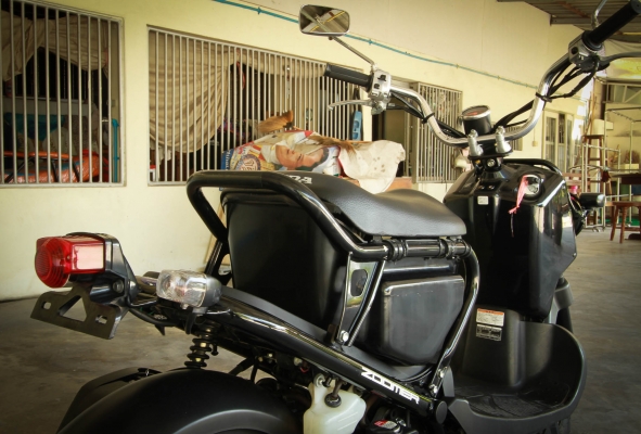 ///Honda Zoomer/// สีดำ รุ่นหัวฉีด สถาพใหม่