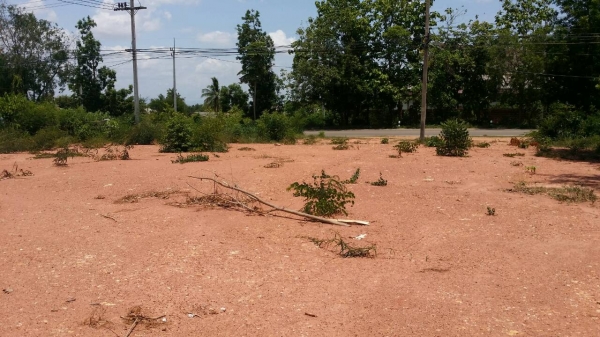 ขายด่วน ที่ดินเปล่า ถมแล้ว. มี7ห้อง ห้องละ33ตารางวา ห้องละ750000บาท