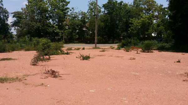 ขายด่วน ที่ดินเปล่า ถมแล้ว. มี7ห้อง ห้องละ33ตารางวา ห้องละ750000บาท