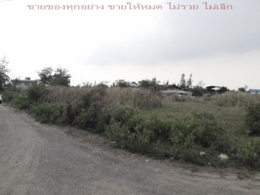 @@@  ที่เปล่า หัวมุม 2ไร่กว่า ใกล้ตลาดหนองจอก กทม.