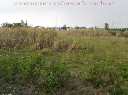 @@@  ที่เปล่า หัวมุม 2ไร่กว่า ใกล้ตลาดหนองจอก กทม.