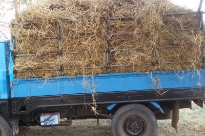 สี่ล้อ อีซูชุ TL 88 แรง ((จองแล้วครับ จากพี่ จ.มุกดาหาร รับมัดจำเรียบร้อย))