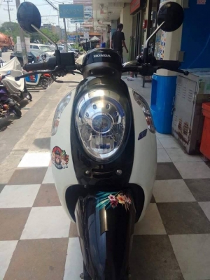 All New Scoopy i ปี 2556 สีขาว ดำ ลายใหม่ Monkey DO รถสวยมากๆ ออกใหม่ล่าสุด