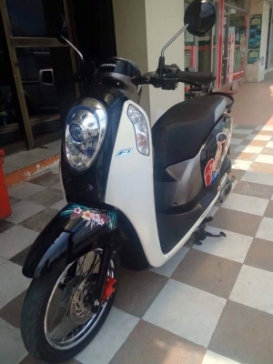 All New Scoopy i ปี 2556 สีขาว ดำ ลายใหม่ Monkey DO รถสวยมากๆ ออกใหม่ล่าสุด