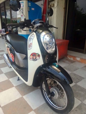 All New Scoopy i ปี 2556 สีขาว ดำ ลายใหม่ Monkey DO รถสวยมากๆ ออกใหม่ล่าสุด