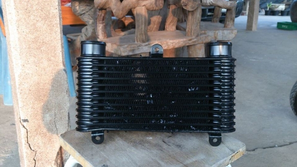 อินเตอร์เดิม ford