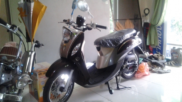 ขาย Fino หัวฉีด  ปี2015  รถใหม่ป้ายแดง พร้อมจดทะเบียนครับ  ราคาถูกครับ ได้รางวัลมา