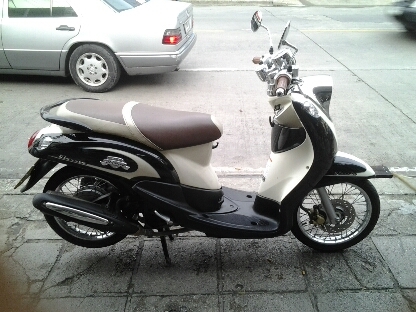 ฟีโน่ปี2554