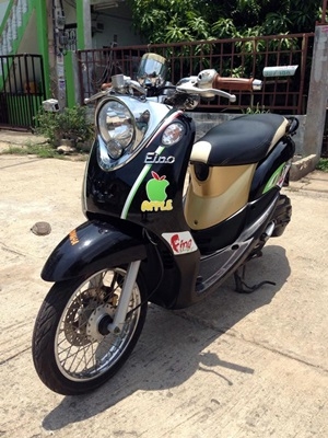 ฟีโน่เกร์แยก ปลายปี 55