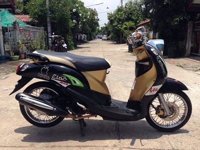 ฟีโน่เกร์แยก ปลายปี 55 ฟีโน่เกร์แยก ปลายปี 55