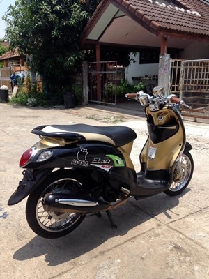 ฟีโน่เกร์แยก ปลายปี 55 ฟีโน่เกร์แยก ปลายปี 55