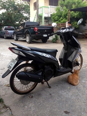 คลิกตัวคาบู สภาพ สวย