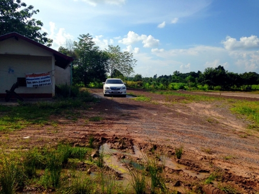 ขาย ลานมัน ลานไม้ ลานอ้อย 2ไร่ นส3 ขาย ลานมัน ลานไม้ ลานอ้อย 2ไร่ นส3