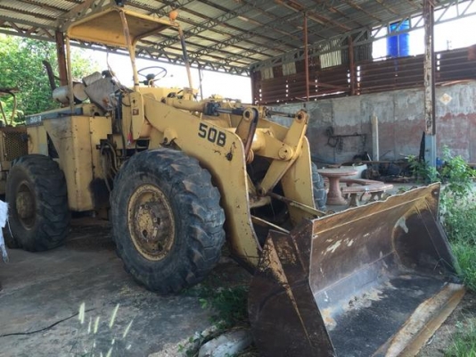 ขาย  cat tarfiza  920