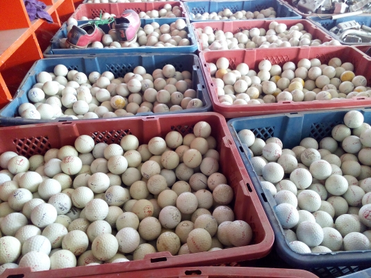 ลูกกอล์ฟมือสอง สภาพดีสวย มีจำนวนมาก ขายในราคาถูกเหมือนได้ฟรี