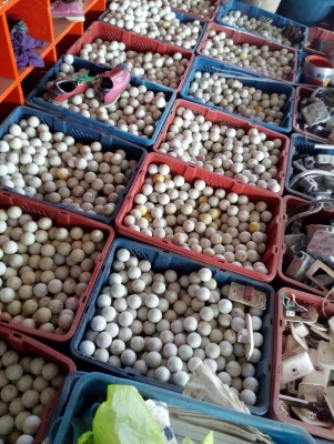 ลูกกอล์ฟมือสอง สภาพดีสวย มีจำนวนมาก ขายในราคาถูกเหมือนได้ฟรี