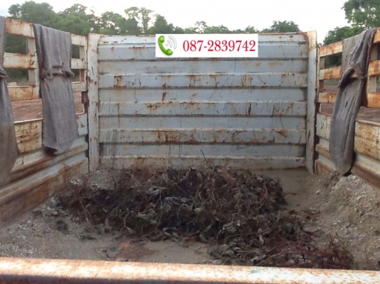 ขายรถดั้มพ์ 6 ล้อ ขนาดกลาง