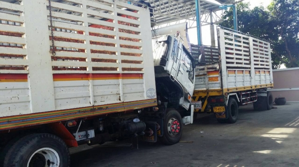 ขายรถพ่วง 18 ล้อ กระบะเหล็กคอกเกษตรไม่ดั้ม HINO F18 วางหัวสิงไฮเท็ก เครื่อง EK100 รถสวย ราคา.1100000 สนใจโทร