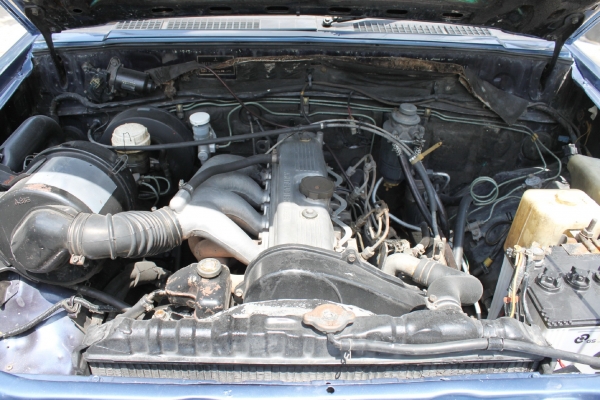 ขายแล้ว ขายแล้ว