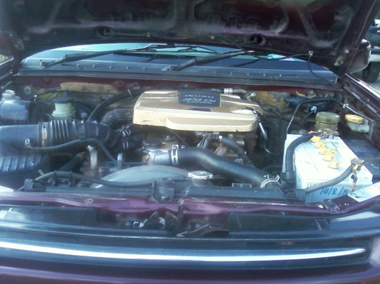 ขายดีแม็ก แคป