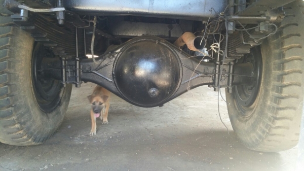 หลงตากลม fuso 6 ล้อดั๊ม ทำสีใหม่ไม่ผุ หลงตากลม fuso 6 ล้อดั๊ม ทำสีใหม่ไม่ผุ