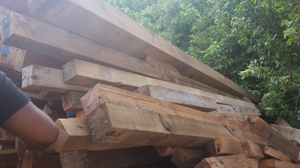 ขายไม้สนนอกเอาไปทำเพอร์นิเจอร์มีหลายขนาด4 นิ้ว 5นิ้ว ถึง10นิ้ว ยาวสูงสุด7เมตร ใส่รถ10ล้อใหญ่มาครับ ขายทั้งหมด 55000 บาท