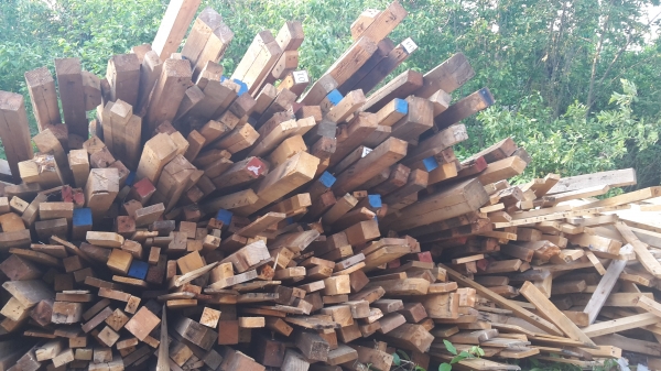 ขายไม้สนนอกเอาไปทำเพอร์นิเจอร์มีหลายขนาด4 นิ้ว 5นิ้ว ถึง10นิ้ว ยาวสูงสุด7เมตร ใส่รถ10ล้อใหญ่มาครับ ขายทั้งหมด 55000 บาท