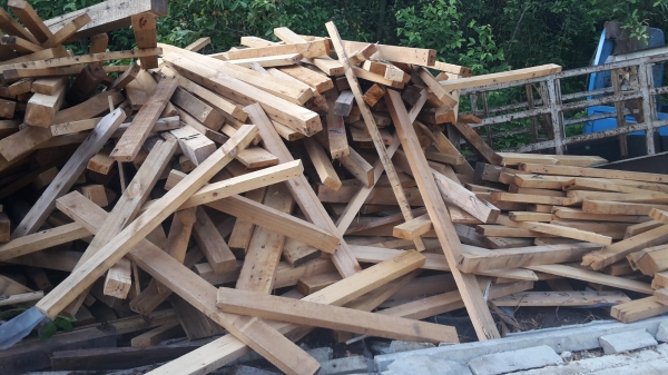 ขายไม้สนนอกเอาไปทำเพอร์นิเจอร์มีหลายขนาด4 นิ้ว 5นิ้ว ถึง10นิ้ว ยาวสูงสุด7เมตร ใส่รถ10ล้อใหญ่มาครับ ขายทั้งหมด 55000 บาท