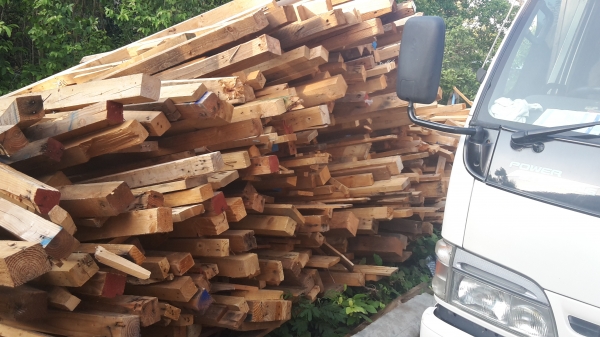 ขายไม้สนนอกเอาไปทำเพอร์นิเจอร์มีหลายขนาด4 นิ้ว 5นิ้ว ถึง10นิ้ว ยาวสูงสุด7เมตร ใส่รถ10ล้อใหญ่มาครับ ขายทั้งหมด 55000 บาท